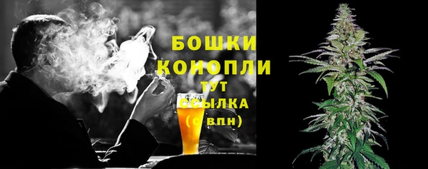 ешки Новодвинск
