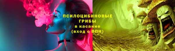 ешки Новодвинск