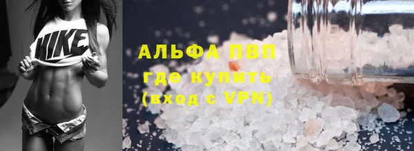 ешки Новодвинск