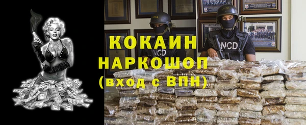 ешки Новодвинск