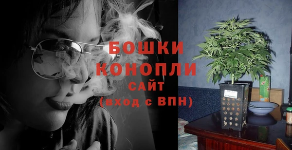 ешки Новодвинск