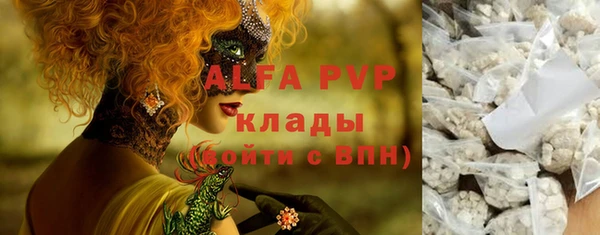 ешки Новодвинск