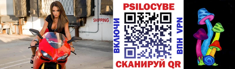хочу   Нахабино  Псилоцибиновые грибы мухоморы 